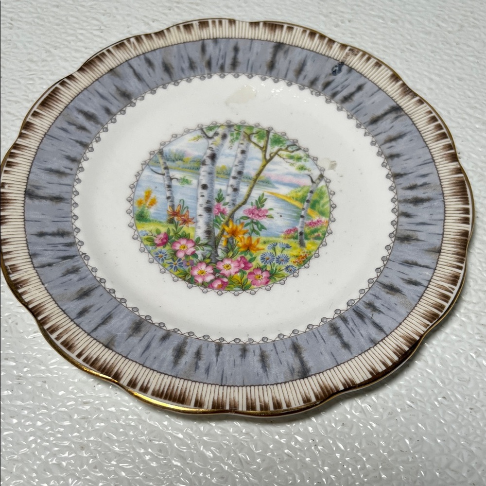 Vintage Royal Albert Silver Birch Plate: English Bone China Plate